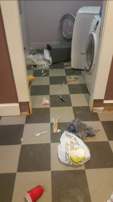 when the dog gets into take out trash